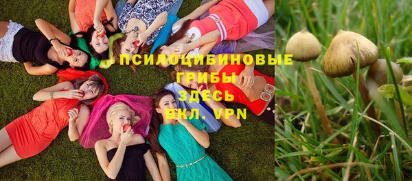 гидра Новозыбков