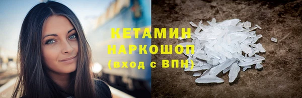 шишки Белоозёрский