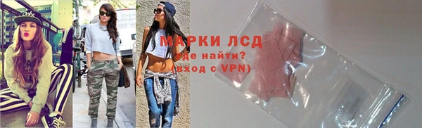 прущие грибы Баксан