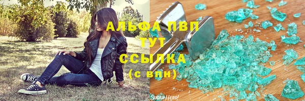шишки Белоозёрский
