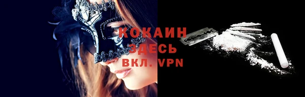 гидра Новозыбков