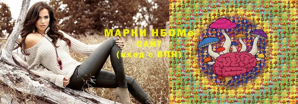 шишки Белоозёрский