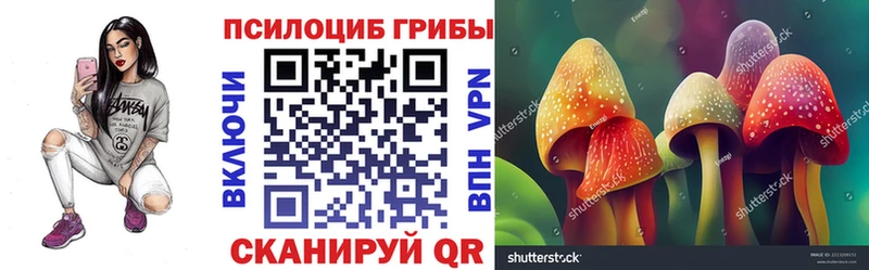 дарк нет состав  Семикаракорск  Галлюциногенные грибы Cubensis 